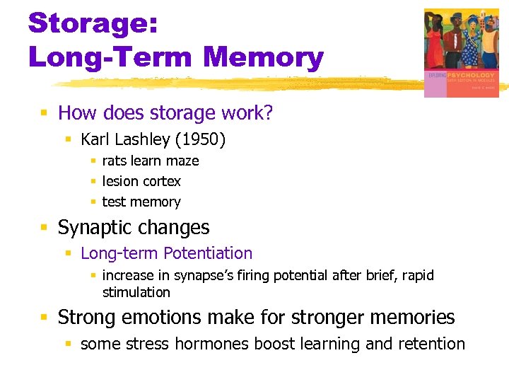 Storage: Long-Term Memory § How does storage work? § Karl Lashley (1950) § rats