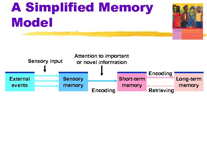 A Simplified Memory Model Sensory input External events Attention to important or novel information