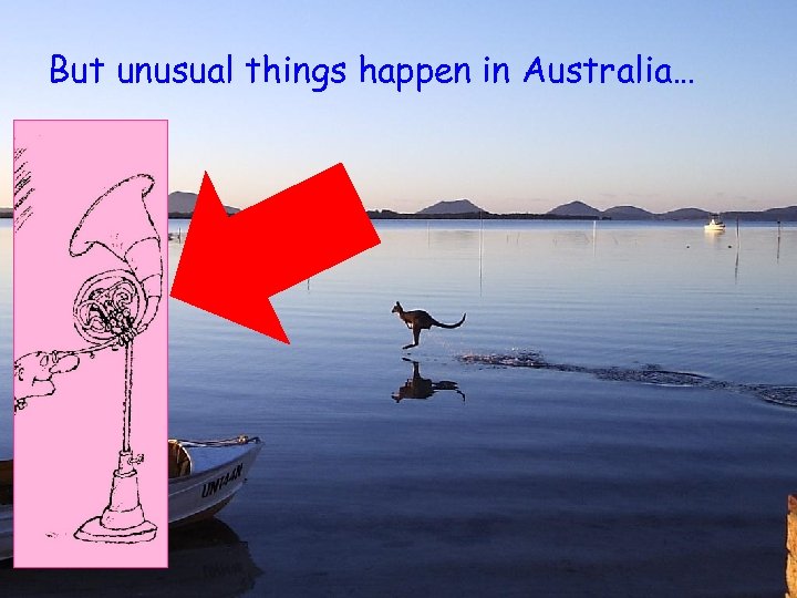 But unusual things happen in Australia… 