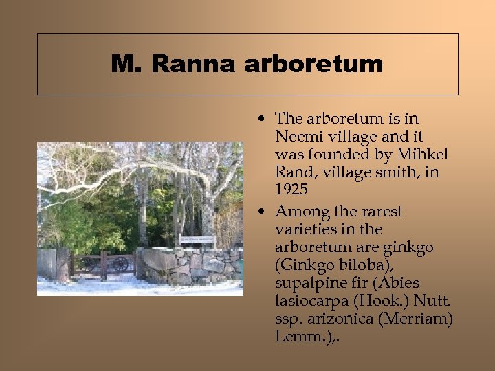 M. Ranna arboretum • The arboretum is in Neemi village and it was founded