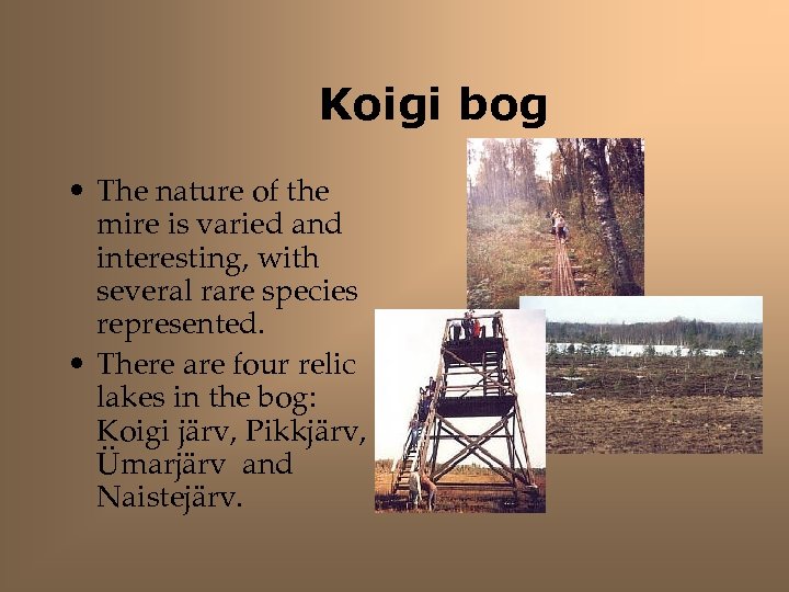 Koigi bog • The nature of the mire is varied and interesting, with several