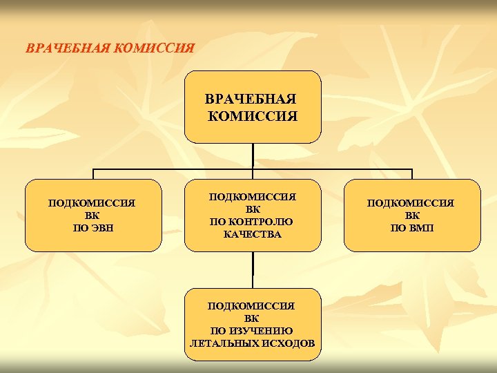 ВРАЧЕБНАЯ КОМИССИЯ ПОДКОМИССИЯ ВК ПО ЭВН ПОДКОМИССИЯ ВК ПО КОНТРОЛЮ КАЧЕСТВА ПОДКОМИССИЯ ВК ПО