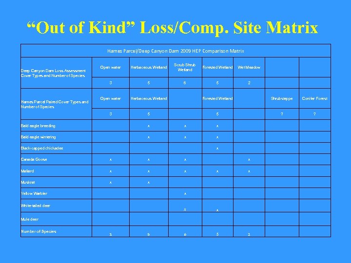 “Out of Kind” Loss/Comp. Site Matrix Hames Parcel/Deep Canyon Dam 2009 HEP Comparison Matrix