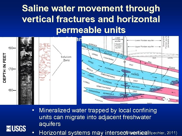 Saline water movement through vertical fractures and horizontal permeable units DEPTH IN FEET (Brunswick,