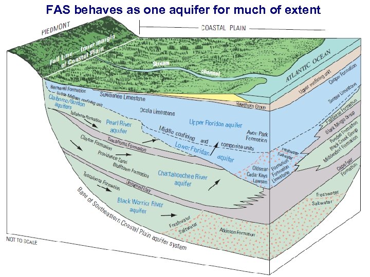 FAS behaves as one aquifer for much of extent 