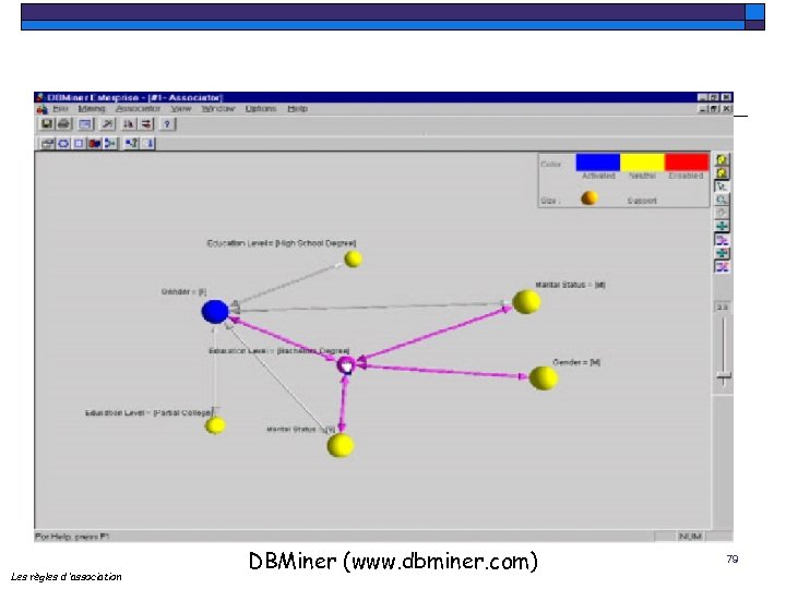 Les règles d ’association DBMiner (www. dbminer. com) 79 