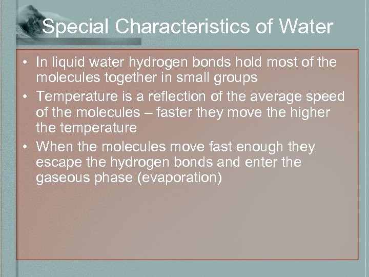 Special Characteristics of Water • In liquid water hydrogen bonds hold most of the
