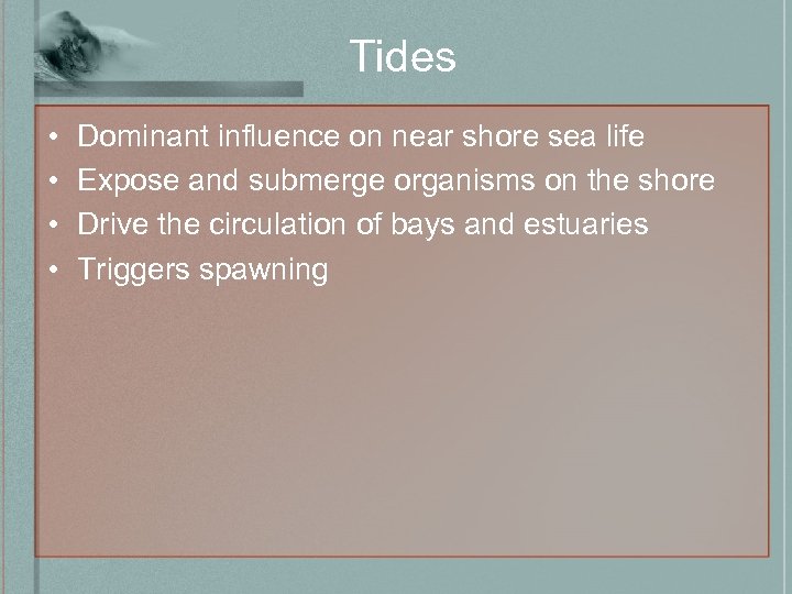 Tides • • Dominant influence on near shore sea life Expose and submerge organisms