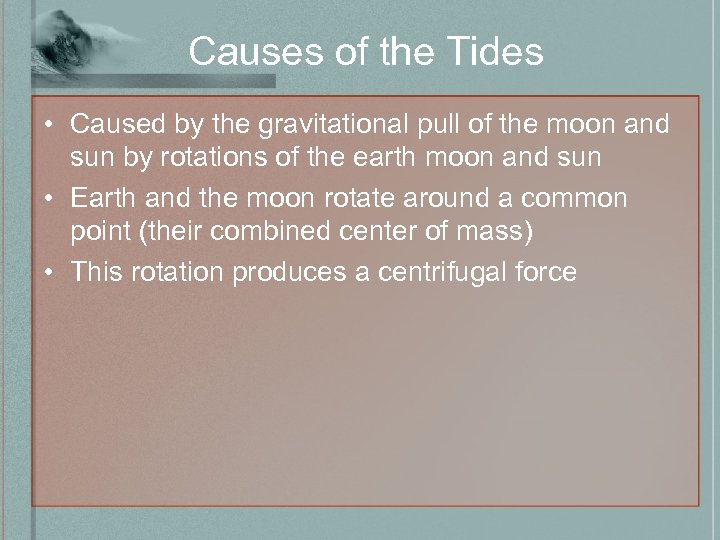 Causes of the Tides • Caused by the gravitational pull of the moon and