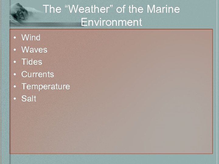 The “Weather” of the Marine Environment • • • Wind Waves Tides Currents Temperature