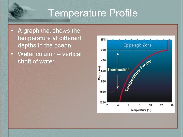 Temperature Profile • A graph that shows the temperature at different depths in the