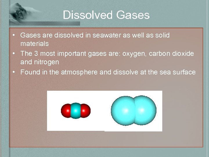 Dissolved Gases • Gases are dissolved in seawater as well as solid materials •