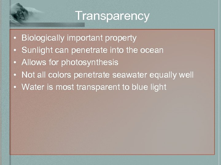 Transparency • • • Biologically important property Sunlight can penetrate into the ocean Allows