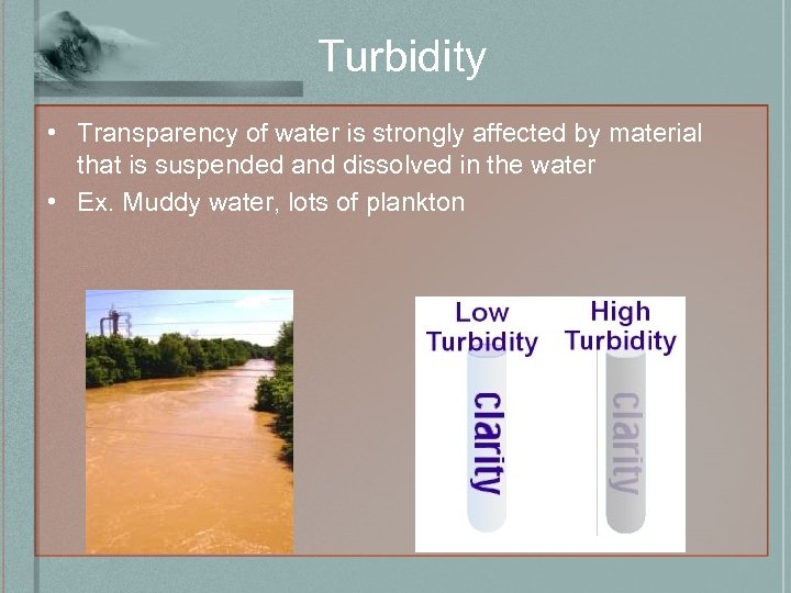 Turbidity • Transparency of water is strongly affected by material that is suspended and