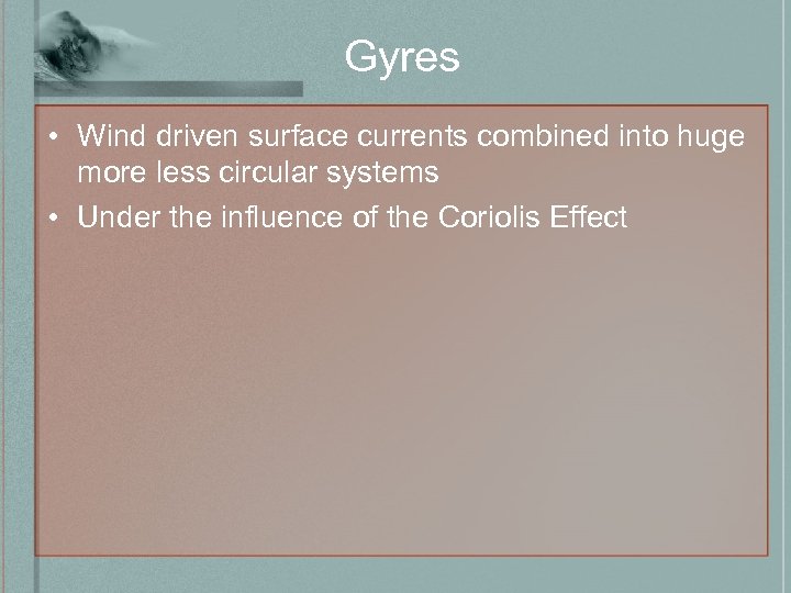 Gyres • Wind driven surface currents combined into huge more less circular systems •