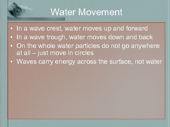 Water Movement • In a wave crest, water moves up and forward • In