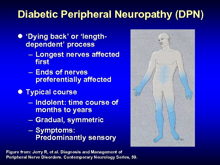 Diabetic Peripheral Neuropathy (DPN) l ‘Dying back’ or ‘lengthdependent’ process – Longest nerves affected