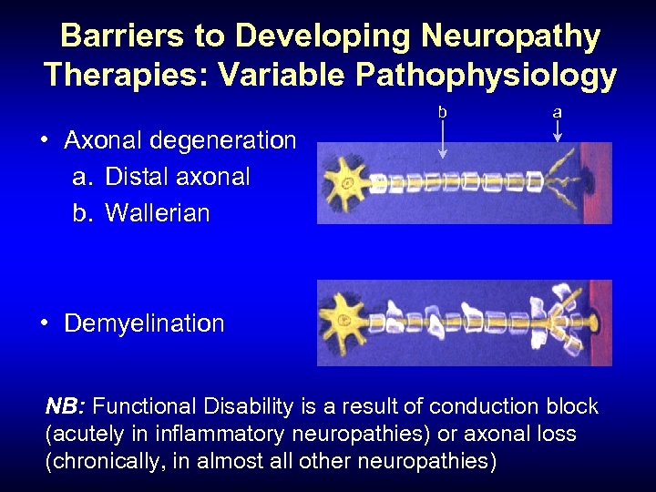 Barriers to Developing Neuropathy Therapies: Variable Pathophysiology b a • Axonal degeneration a. Distal