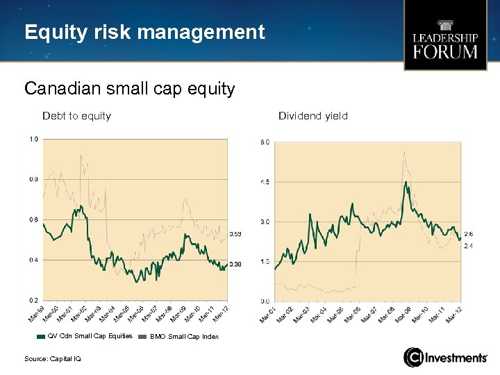 Equity risk management Canadian small cap equity Debt to equity QV Cdn Small Cap
