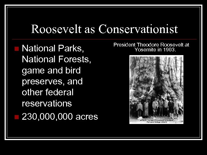 Roosevelt as Conservationist National Parks, National Forests, game and bird preserves, and other federal