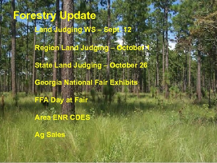 Forestry Update Forestry Land Judging WS – Sept. 12 Agroforestry Workshop – Sept. 20
