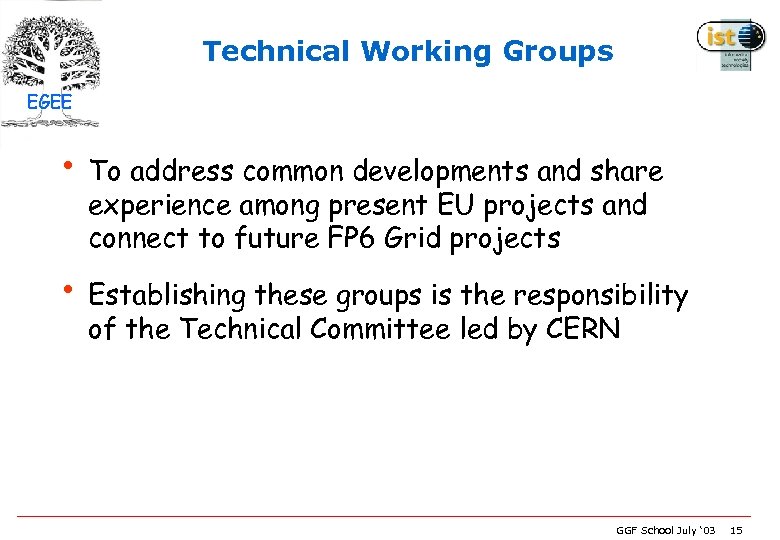 Technical Working Groups EGEE • To address common developments and share experience among present