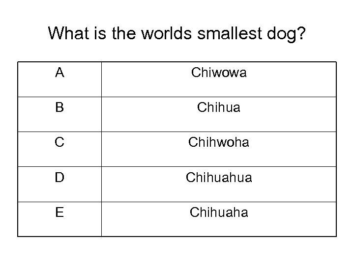 What is the worlds smallest dog? A Chiwowa B Chihua C Chihwoha D Chihuahua