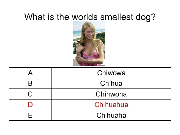 What is the worlds smallest dog? A Chiwowa B Chihua C Chihwoha D Chihuahua