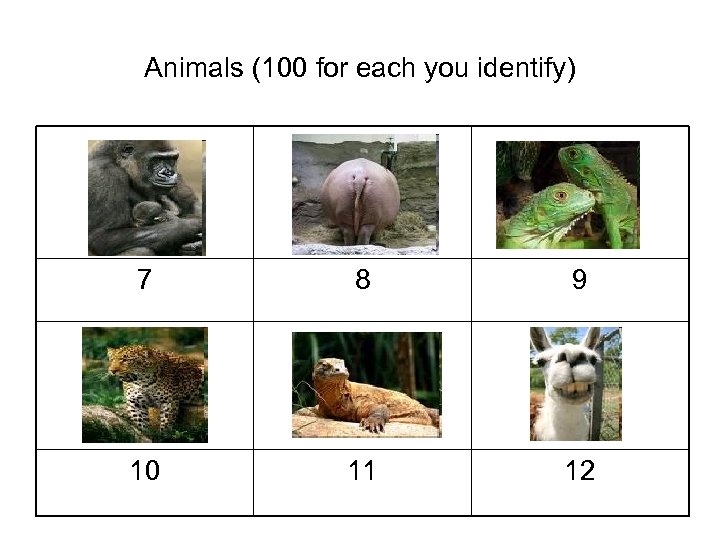 Animals (100 for each you identify) 7 8 9 10 11 12 