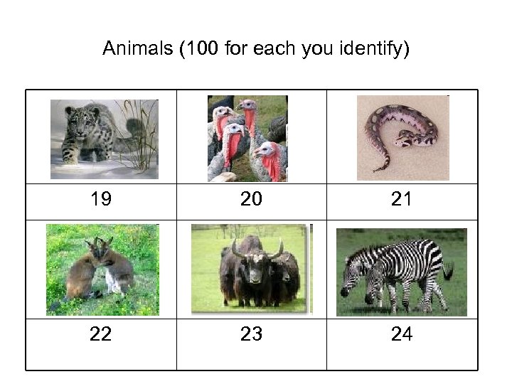 Animals (100 for each you identify) 19 20 21 22 23 24 