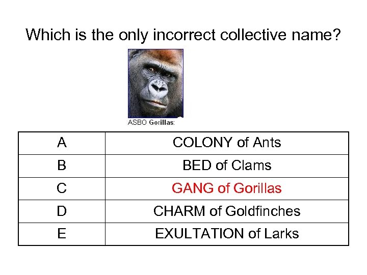Which is the only incorrect collective name? A COLONY of Ants B BED of
