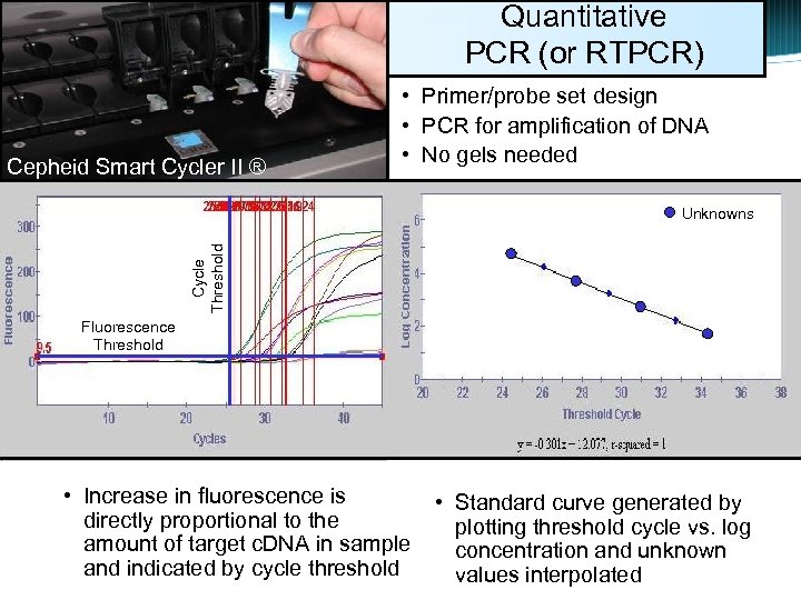 Quantitative PCR (or RTPCR) Cepheid Smart Cycler II ® • Primer/probe set design •