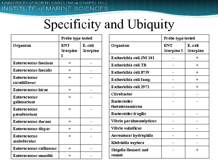 Specificity and Ubiquity Probe type tested Organism ENT Scorpion I E. coli Scorpion Enterococcus