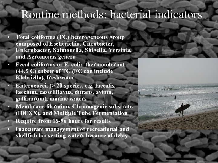 Routine methods: bacterial indicators • Total coliforms (TC) heterogeneous group composed of Escherichia, Citrobacter,