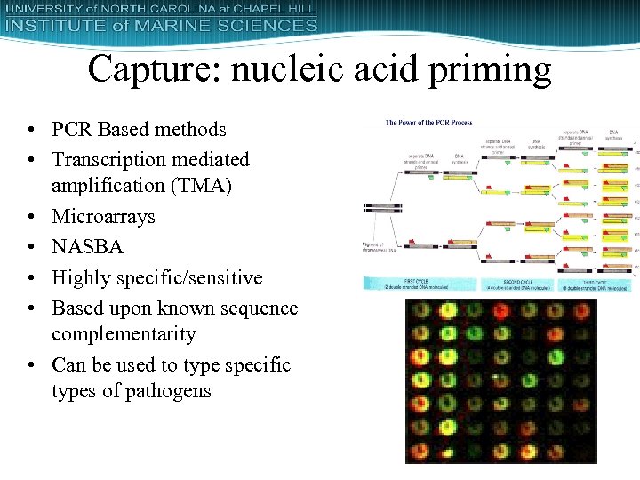 Capture: nucleic acid priming • PCR Based methods • Transcription mediated amplification (TMA) •