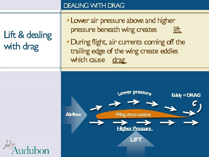 DEALING WITH DRAG Lift & dealing with drag • Lower air pressure above and