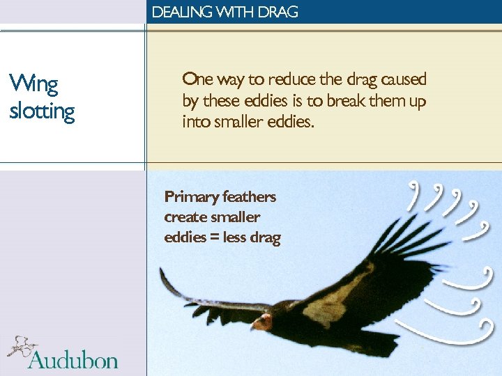 DEALING WITH DRAG Wing slotting One way to reduce the drag caused by these