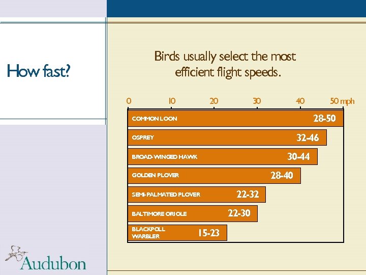 Birds usually select the most efficient flight speeds. How fast? 0 10 20 30