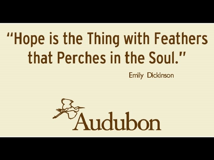 Emily Dickinson 