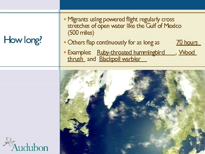 How long? • Migrants using powered flight regularly cross stretches of open water like