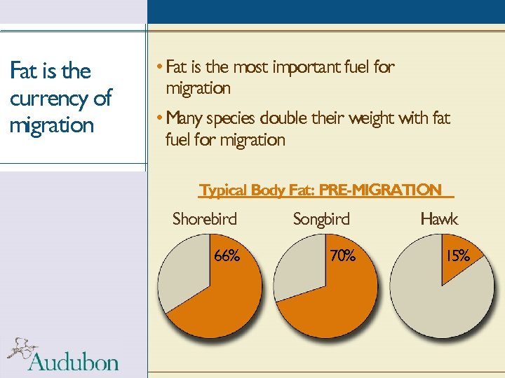 Fat is the currency of migration • Fat is the most important fuel for