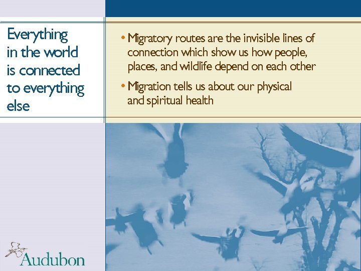 Everything in the world is connected to everything else • Migratory routes are the