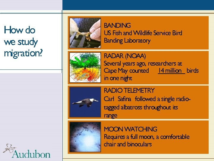 How do we study migration? BANDING US Fish and Wildlife Service Bird Banding Laboratory