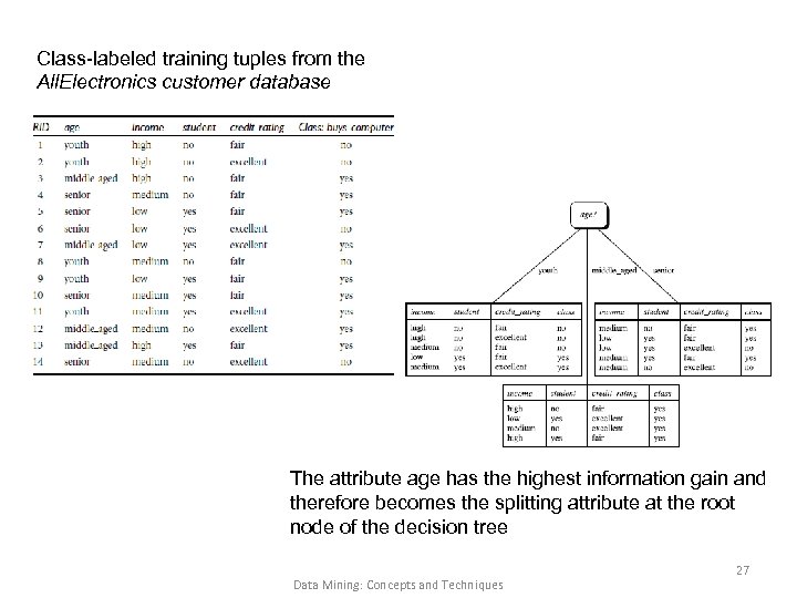 Class-labeled training tuples from the All. Electronics customer database The attribute age has the