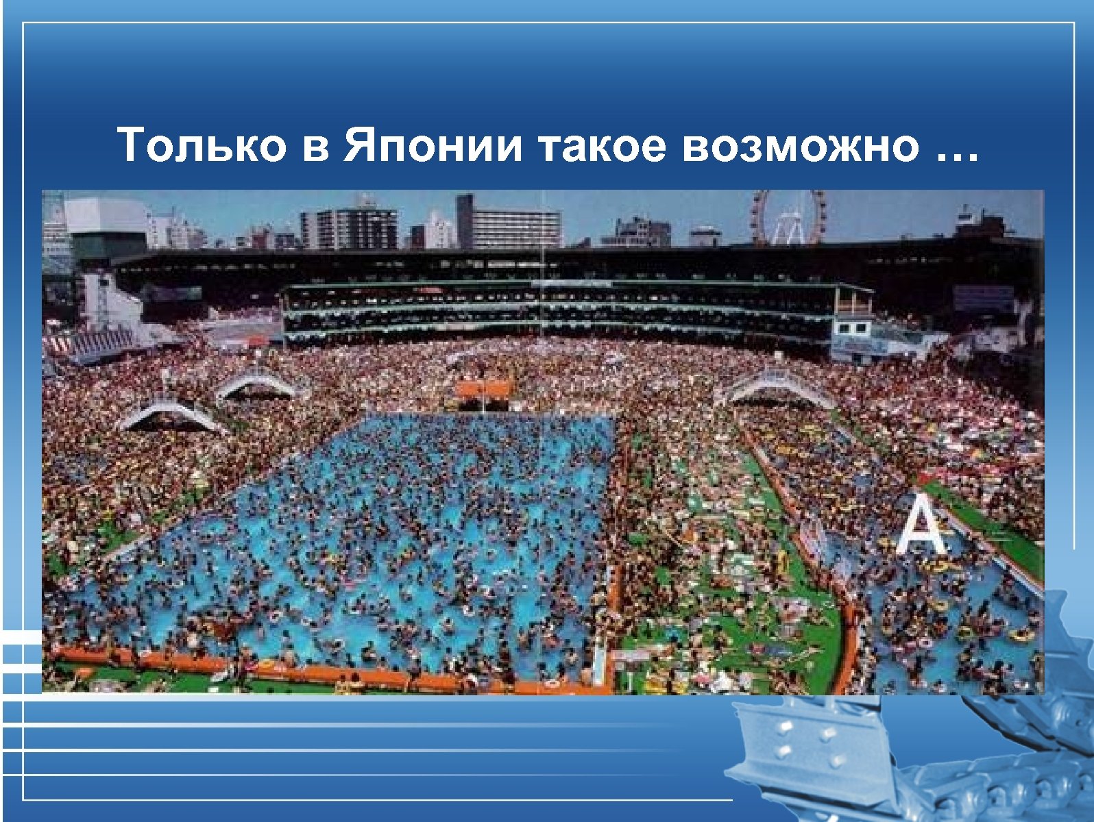 Только в Японии такое возможно … 