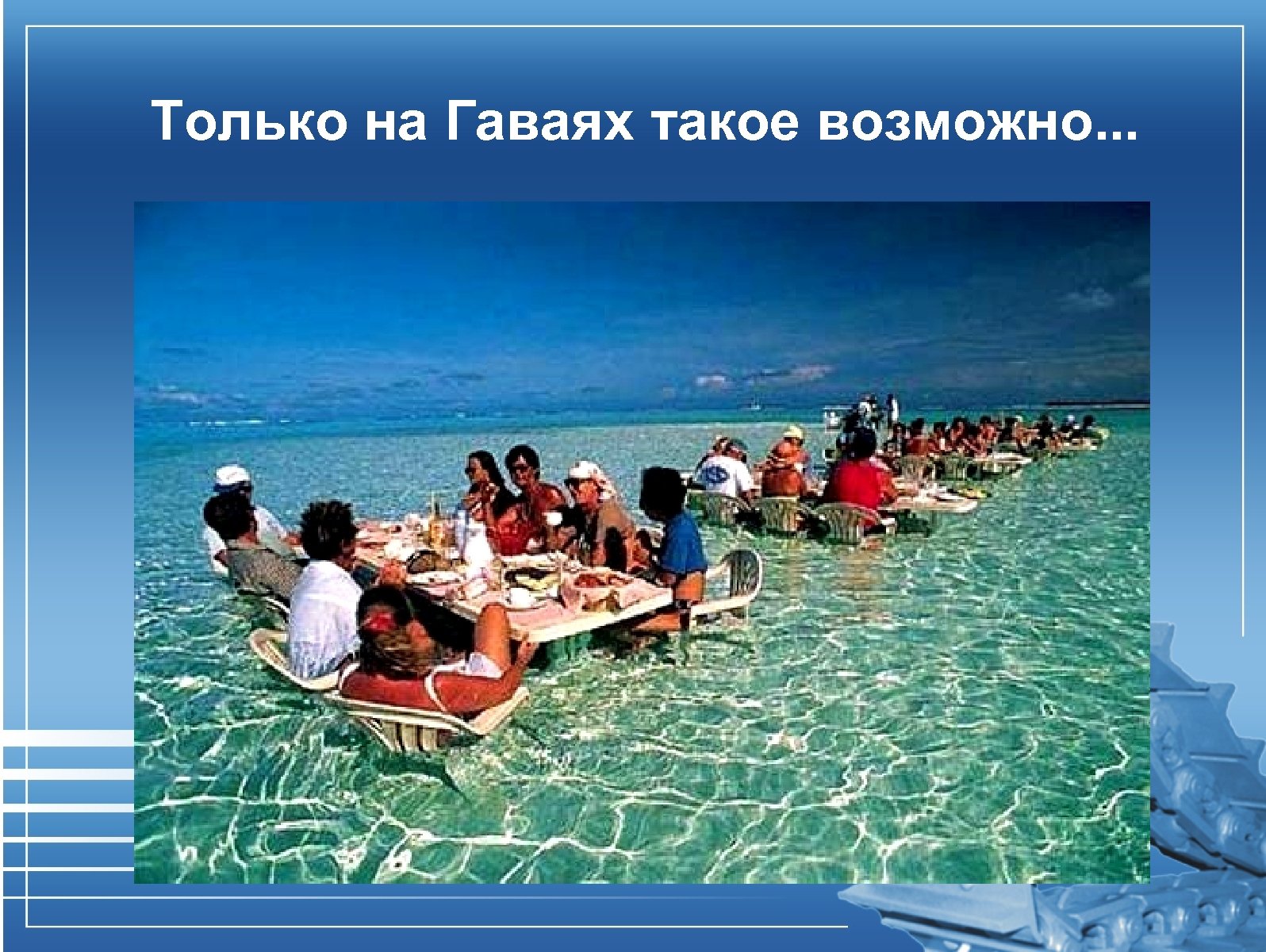 Только на Гаваях такое возможно. . . 