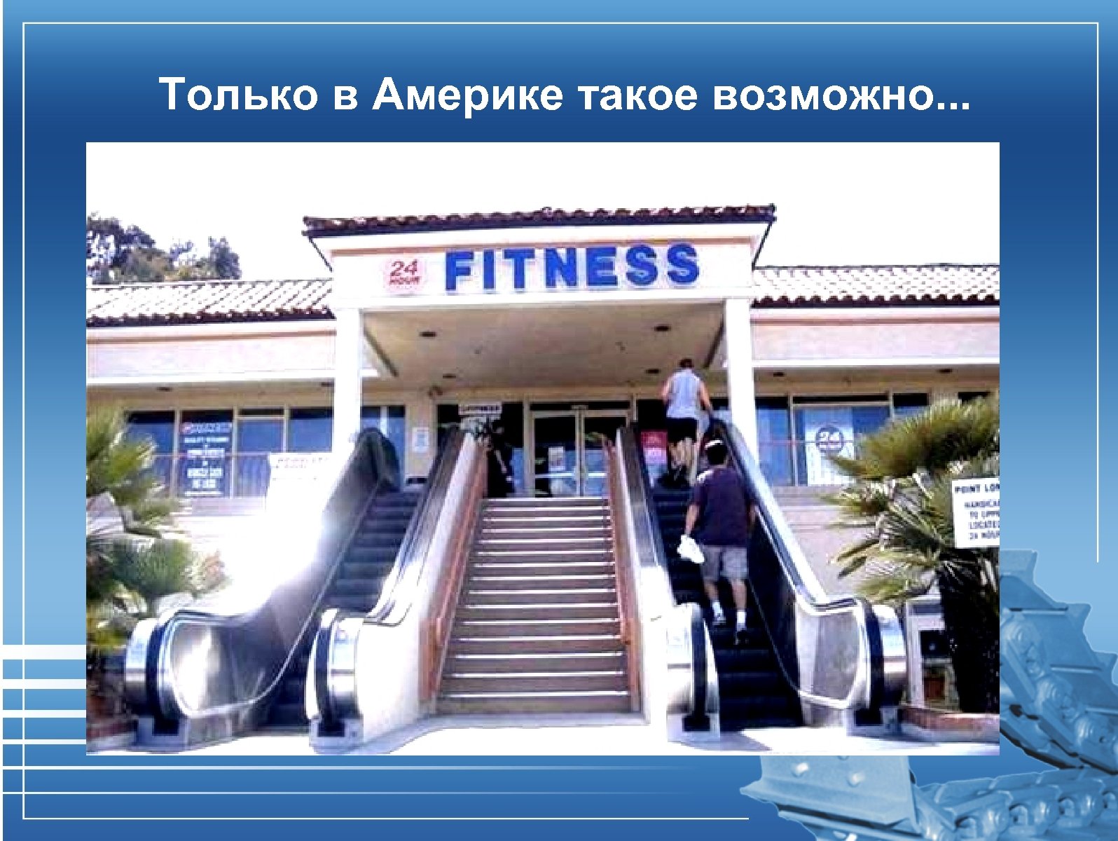 Только в Америке такое возможно. . . 