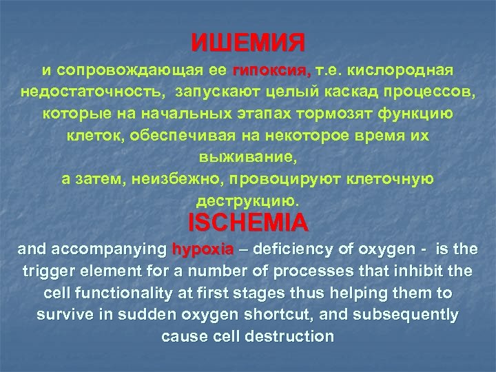 ИШЕМИЯ и сопровождающая ее гипоксия, т. е. кислородная гипоксия, недостаточность, запускают целый каскад процессов,