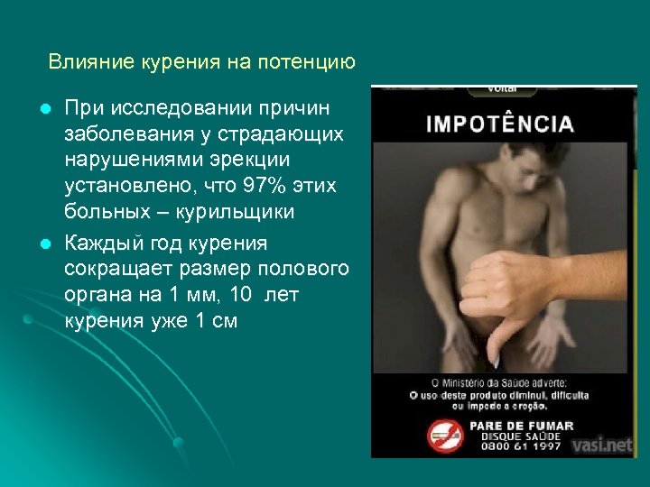 Влияние курения на потенцию l l При исследовании причин заболевания у страдающих нарушениями эрекции
