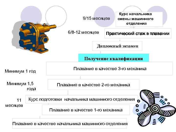 9/15 месяцев 6/8 -12 месяцев Курс начальника смены машинного отделения Практический стаж в плавании